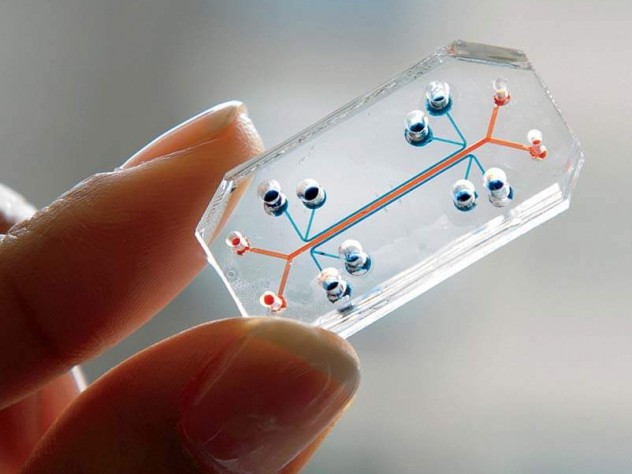 The Wyss Institute team seeks to build and link 10 human organs-on-chips to simulate whole-body physiology.