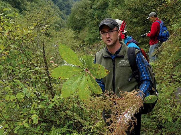 Harvard Botanists Hunt Rare Plants In China Harvard Magazine