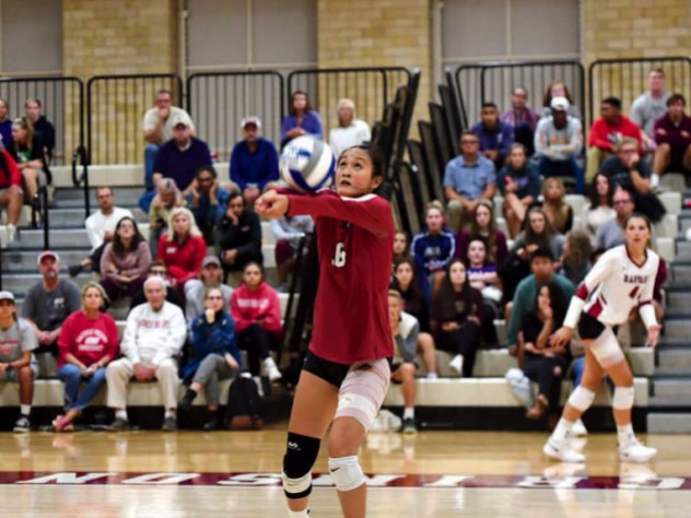 Harvard volleyball player Sandra Zeng setting a ball during a game