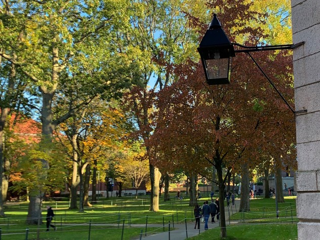 Harvard Yard in the fall
