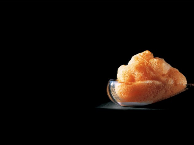 More fun with culinary foam: "carrot air with bitter coconut milk"