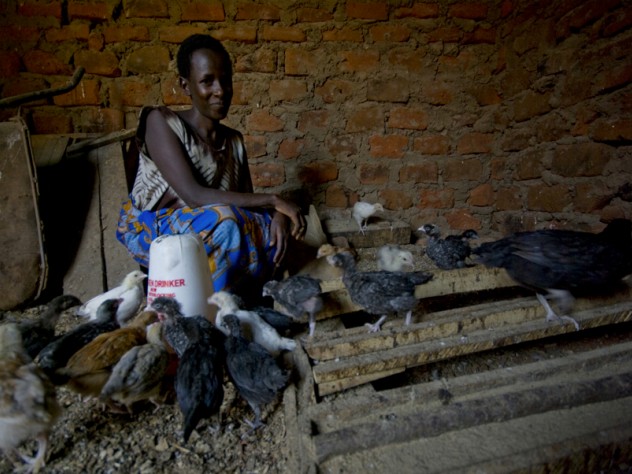 Nshemereirwe in her chicken coop