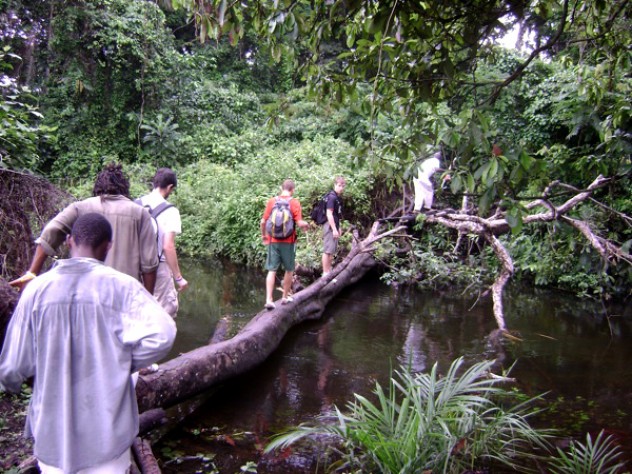 Courtesy of David Sengeh On the way to Nganyahun village, the volunteers tread a delicate path. GMin drove to the larger villages to drop off nets for storage until they could distribute them (carrying them from house to house in bails on their heads).