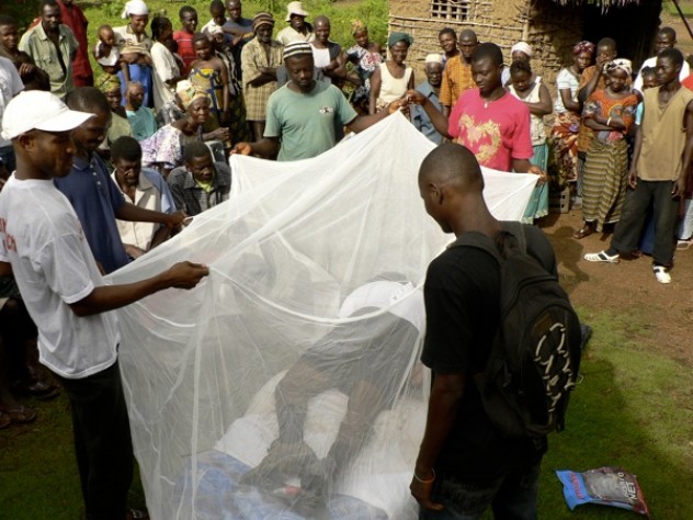 Courtesy of David Sengeh David Sengeh (under net) acts out his part in a skit on malaria, as two Red Cross volunteers hold the net. The skit was narrated in Mende by Red Cross volunteers.