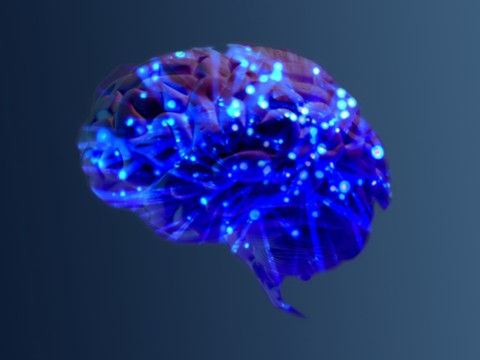 Conceptual illustration of neural networks in the human brain.