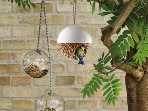 Two hanging bird feeders plus a hanging nesting basket dangle from a tree branch.