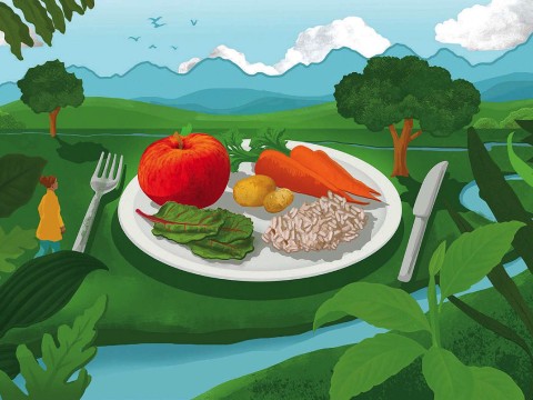 In a verdant landscape sits a plate with healthy foods