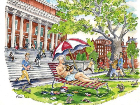 Illustration depicting a summer-school student sunbathing on the steps of Widener Library