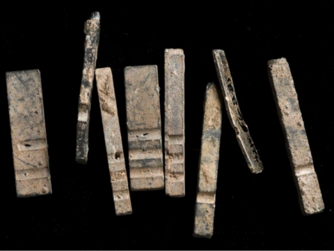 More than 20 pieces of type dug up in Harvard Yard have been dated to the seventeenth century.
