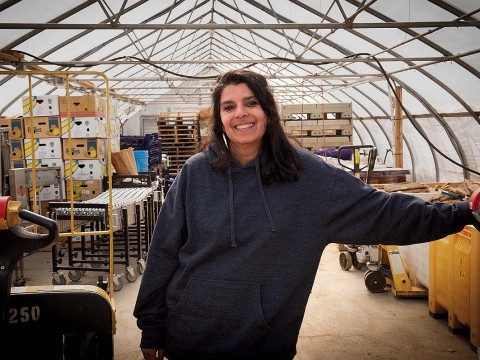 Usha Thakrar standing in the greenhouse production center at Stonefield Farm