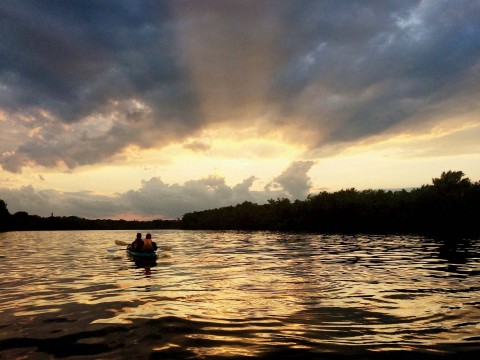 david sinclair aging anti aging Sinclairâs Magazine  anti  Harvard science David