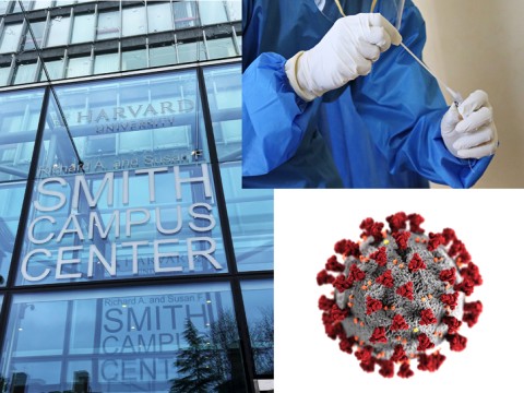 Montage of Smith Campus Center, a laboratory worker performing a swab test, and a COVID-19 graphic 