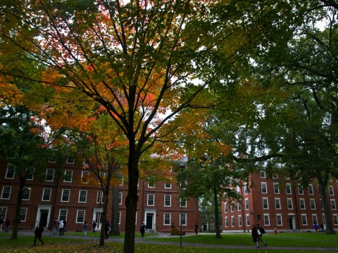 Hollis Hall and Stoughton Hall