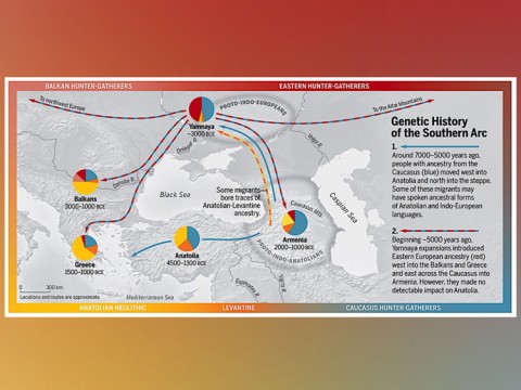 Map of the expansion of Indo-European languages from a source in the highlands of West Asia.