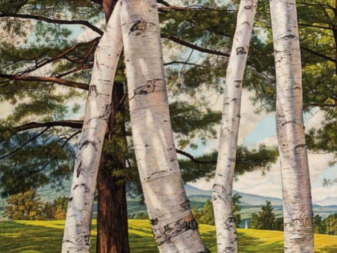 colorful painting detailing birch trees
