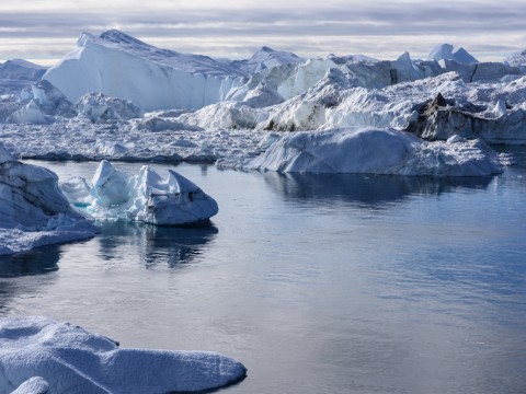 Icebergs at the end of the Ilulissat Icefjord, Disko Bay, western Greenland.