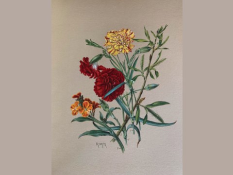 Painting: Carnations, Gillyvors, Willow