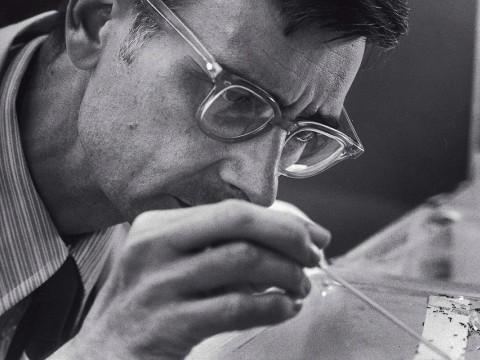 Photograph of E.O. Wilson observing ants