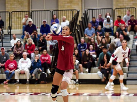 Harvard volleyball player Sandra Zeng setting a ball during a game