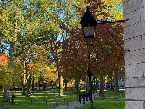 Harvard Yard in the fall
