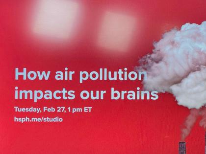 How air pollution impacts our brains