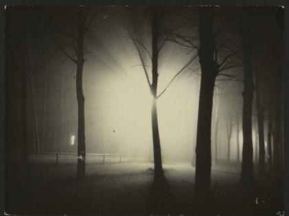<i>Untitled</i> (Night View of Trees and Streetlamp, Burgkühnauer Allee, Dessau), 1928