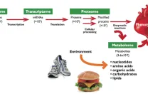 From Genome to Metabolome:  The amount and complexity of data increase from the genome to the transcriptome to the proteome. The metabolome is not only simpler and more  reflective of health status, it also incorporates environmental influences, for example, from exercise and diet.