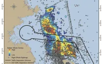 In this map of the Stellwagen Bank National Marine Sanctuary, the dots show right whales; the colors, the density of baleen whales.