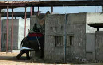 Back at Hathigaon, an elephant and its <i>mahout</i> enter their dwelling.