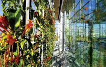 Plants on the latticed outer façade, hydrated by a misting system, provide shade and fresh breezes.