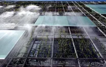 The building’s external misting system at work