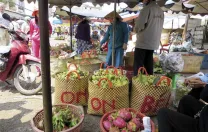 The wholesale produce market in My Tho