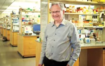 Jeffrey Way is part of a team that engineered cyanobacteria to produce sugars from photosynthesis more efficiently.