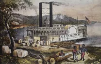 Global demand for cotton transformed the American South into the world&rsquo;s most important cotton-producing region.