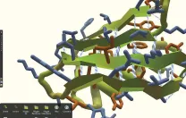 In the game Foldit, players compete to build stable configurations of the biological molecules called proteins.