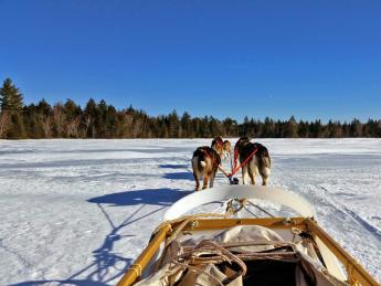 The view from the back of a sled, gliding over Umbagog Lake