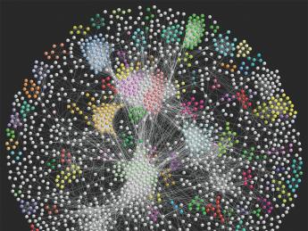 A large-scale map of protein interactions in fruit flies provides new ways to study disease.