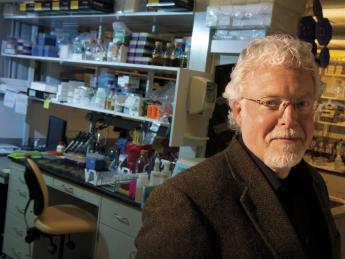 Michael Gilmore directs the Harvard-wide Program on Antibiotic Resistance. He has used genomic techniques to trace the evolution of antibiotic-resistant bacteria. 
