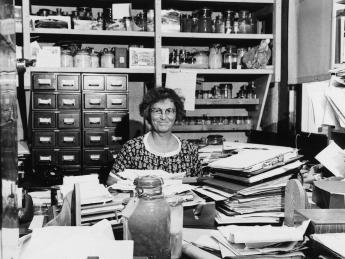 Sears in her Woods Hole office in 1960