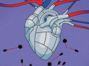 Illustration of an armor-clad heart, resistant to bacterial attacks