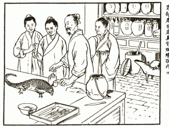 Li prepares to dissect a pangolin, from a popular pamphlet, <i>Li Shizhen: Great Scholar of Medical Drugs</i> (1955).