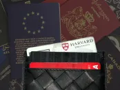 wallet with several cards and a harvard ID at the top, in the background passports from various countries