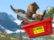 An illustration depicting a group of animals in a red shopping cart that says 56 billion, representing the value of the National Park System