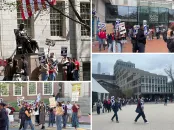 A collage of protest scenes with people holding signs in various locations.