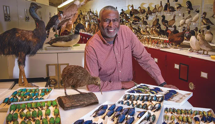 Scott Edwards photographed in the ornithology collection