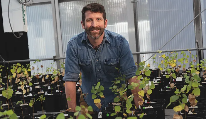 Benton Taylor with cottonwood saplings in a greenhouse at the Arnold Arboretum