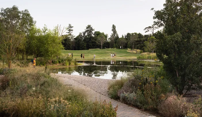 Green landscape with path in foreground leading to a pond and grassy open area. 