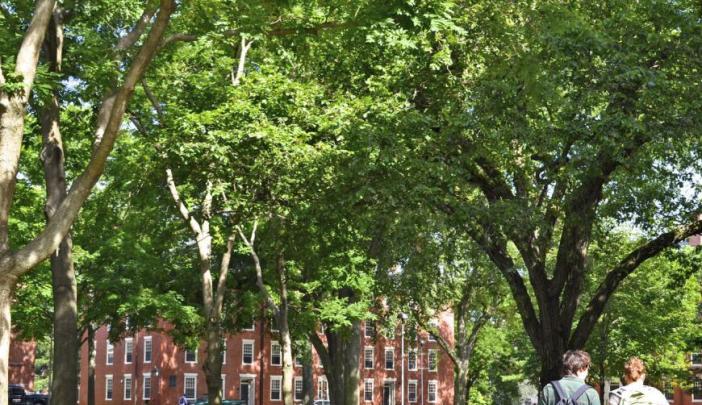 water dispenser essay Harvard Yard with students walking