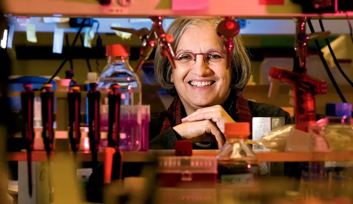Professor Dyann Wirth leads the Harvard Malaria Initiative.