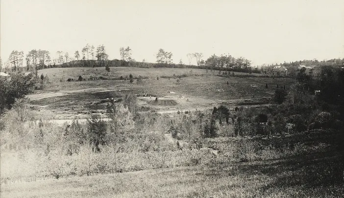 Black-and-white photo of a hill with bare trees